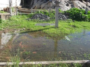 Foto 03