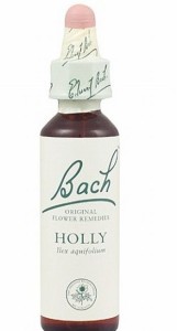 102_1352-blog-jealous