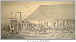 Charqueada desenho Pedro Wayne