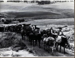 clip_image002_thumb1