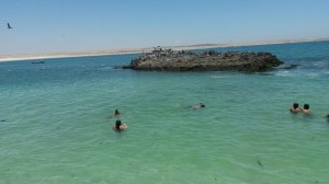 1656345_725093660835429_1722999972_n