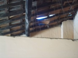 10153612_585290648233497_1262831850_n