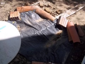 974590_585288761567019_12078862_n