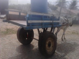 10425632_245045149025983_287108_n