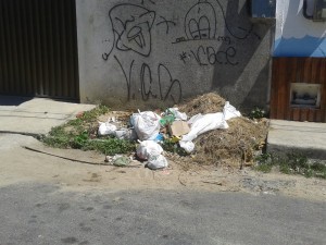 46226_883180885030143_9092571780077533208_n