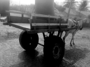 10425632_245045149025983_287108_n