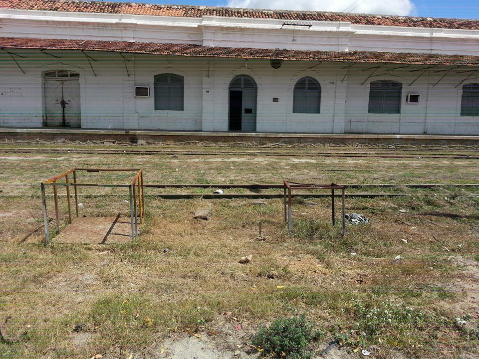 11791766_800317030082227_1037586210_n