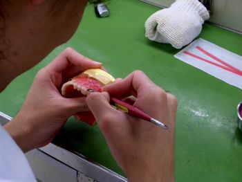 174_547-dentadura-protetico