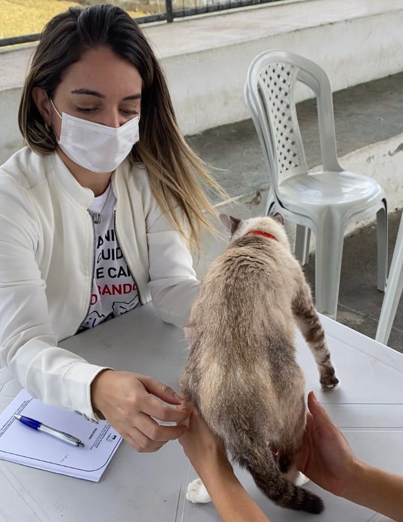 Pinturas em Tecido da Graça: Animais de Safari, image size:790x1024